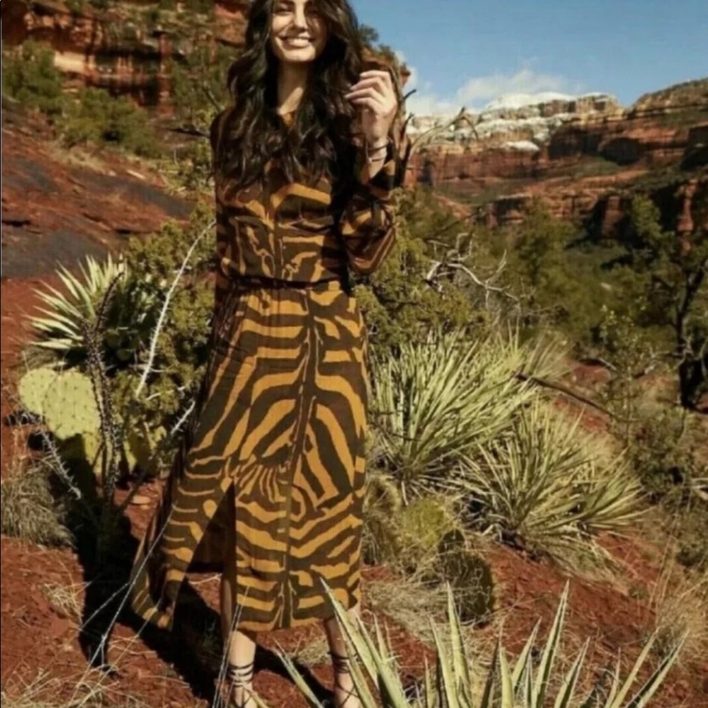 SOLD H&M Zebra Studio Dress